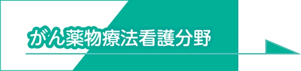 がん薬物療法看護分野はこちらをクリックしてください