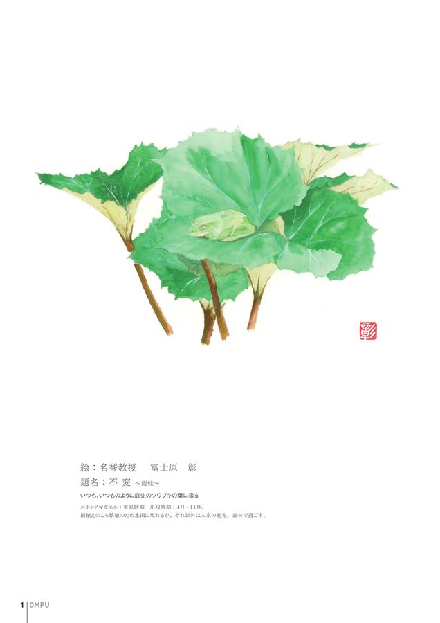 大阪医科薬科大学学報 8号