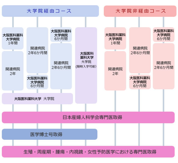 コース選択から専門医取得まで