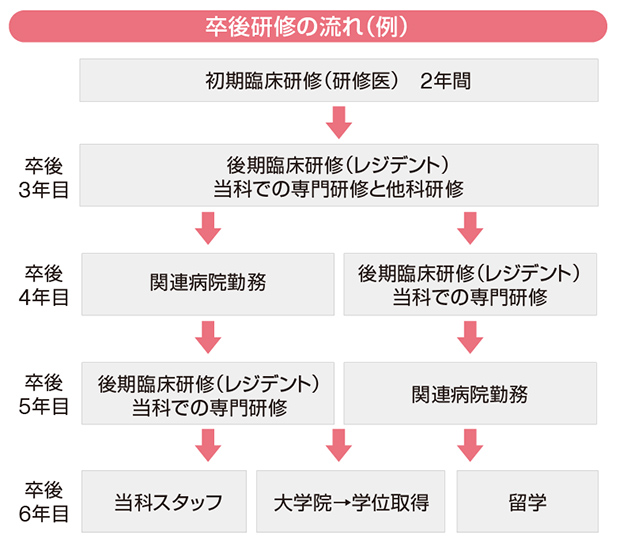 卒後研修の流れ(例)