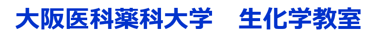 大阪医科薬科大学 生化学教室