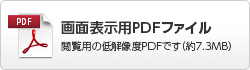 ��ʕ\���pPDF�t�@�C��