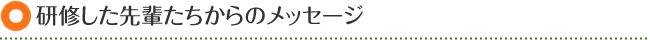 研修した先輩達からのメッセージ