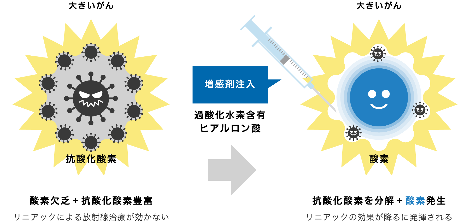 新しい酵素標的・増感放射線療法も概要