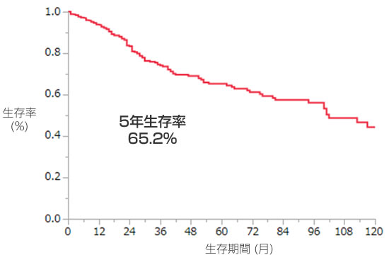 肝内結石症の診療ガイド 厚生労働省