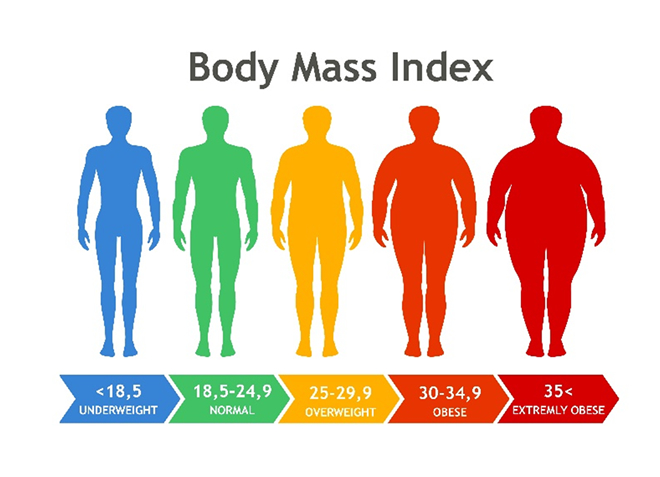 Body mass index(BMI)