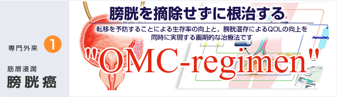 筋層浸潤膀胱癌の治療。膀胱温存療法OMC-regimen