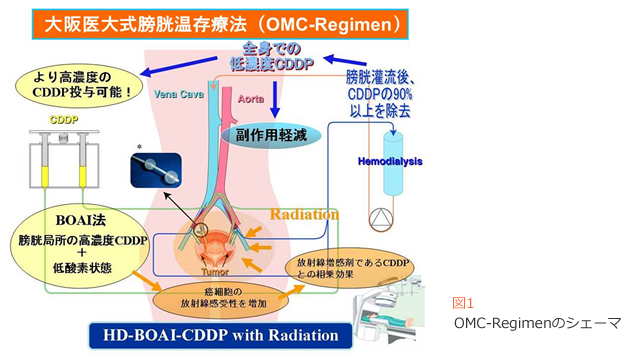 }P@OMC-RegimeñVF[}