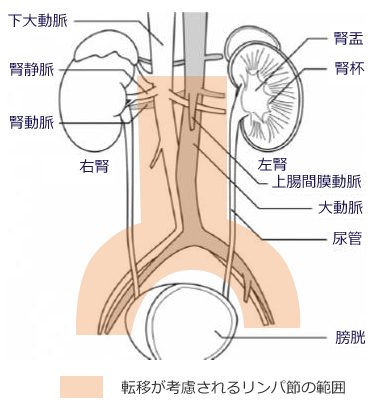 ]ڂl郊p߂͈̔